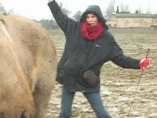 Tiz et Nat no comment