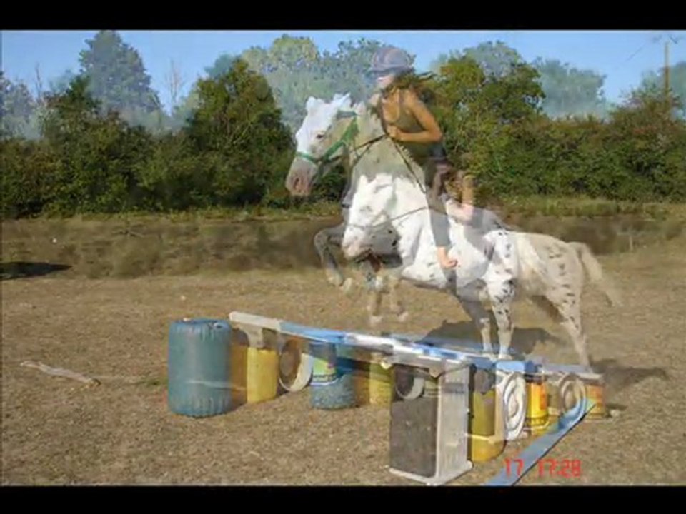 week end avec les poneys