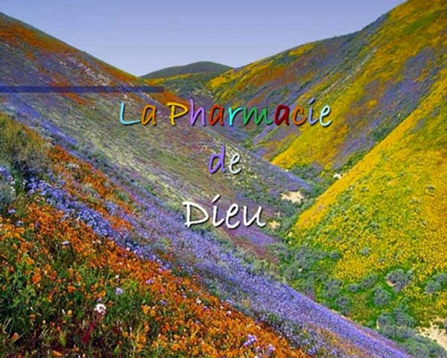 La Pharmacie de DIEU