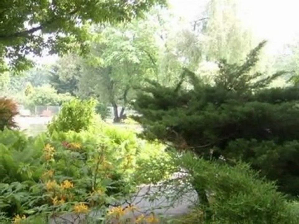 Aliens in Klagenfurt