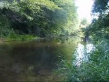 Peche à la Mouche à Plaine saint Langes en HD