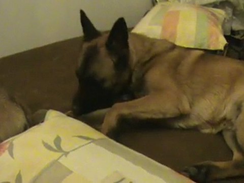 Monsieur Volka sur le clic clac