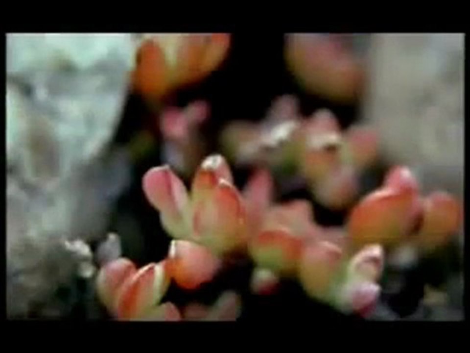 OUR WORLD by Zain Bhikha