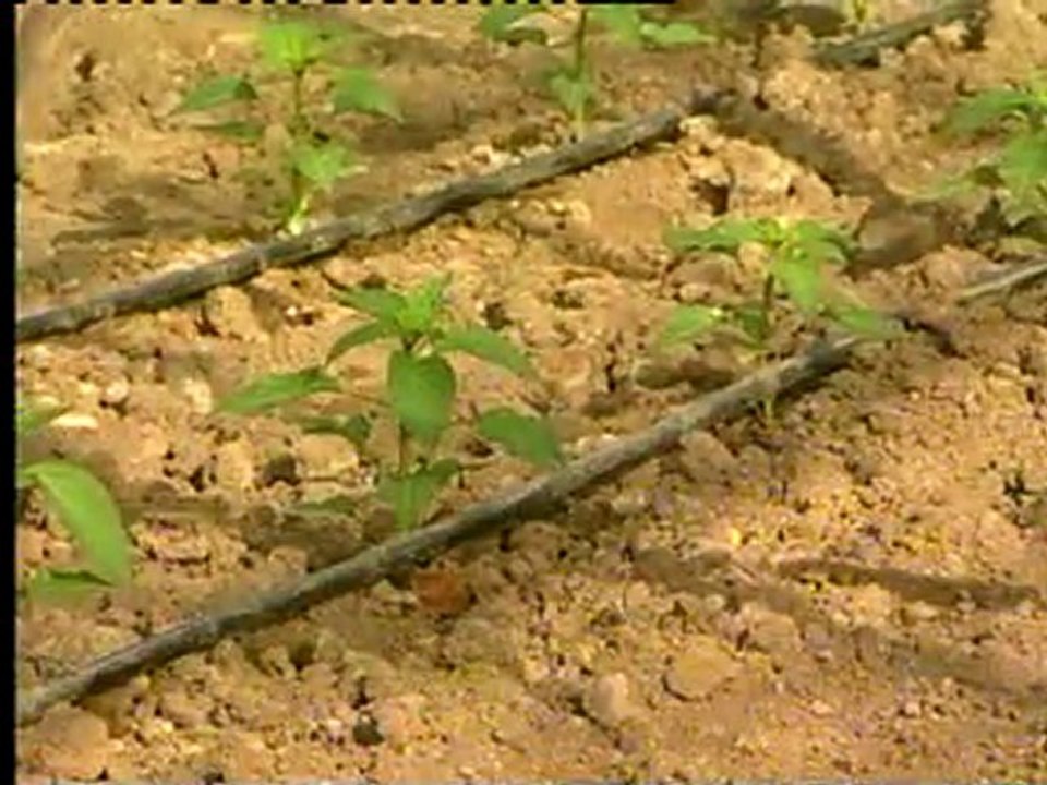 iyi tarım uygulamarı tanıtım filmi