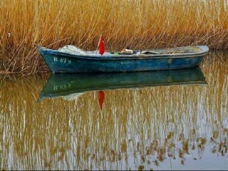 Video 107 EL SECRETO de La Ley de La Atraccion