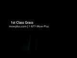Naples Lawn Care Service | 1st Class Grass | (239)-465-4752