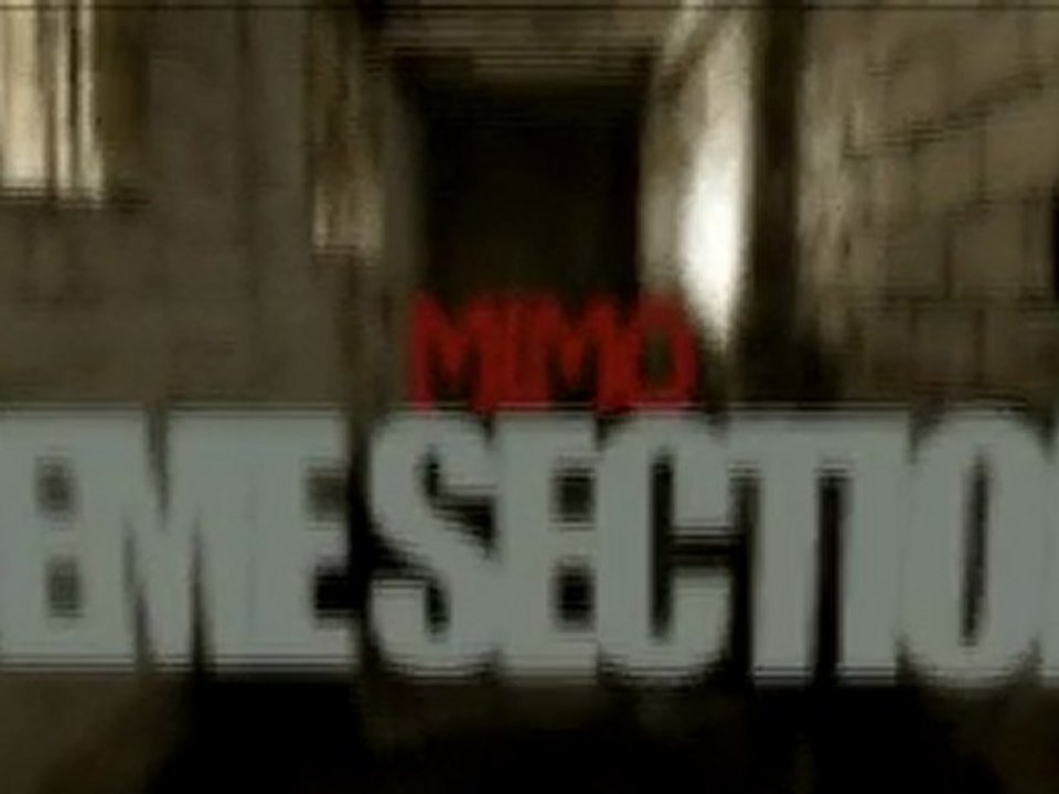 Mimo - Face a face [2010]