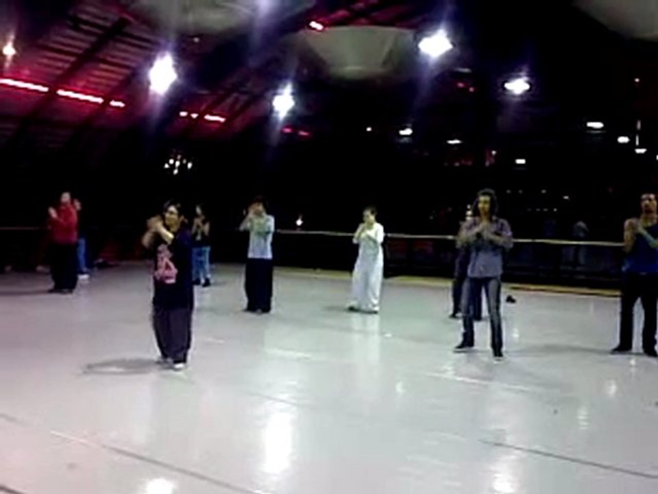 Jan 19 2010_Kaleidescope_Step Train