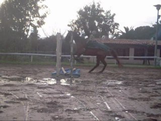 Saut 29 01 10 Premier bidet !