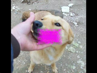 Besoin d'aide pour Noa