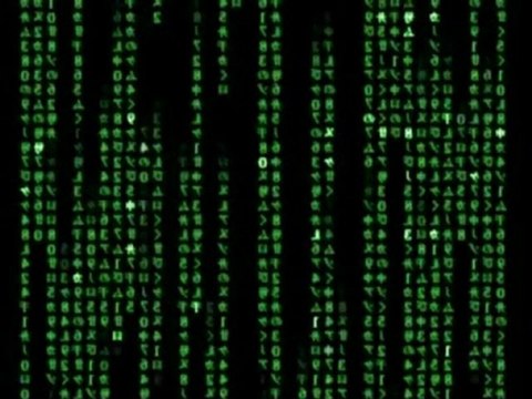 Chasseurs-cueilleurs et TIC