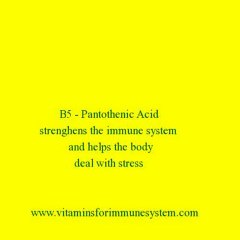 Vitamins For Immune System 10