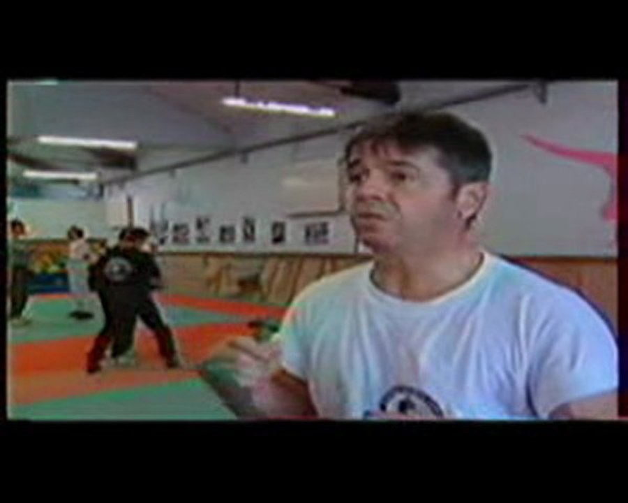 TV TONFA ARMEE LEVINET