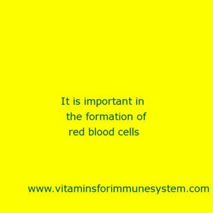 Vitamins For Immune System 13