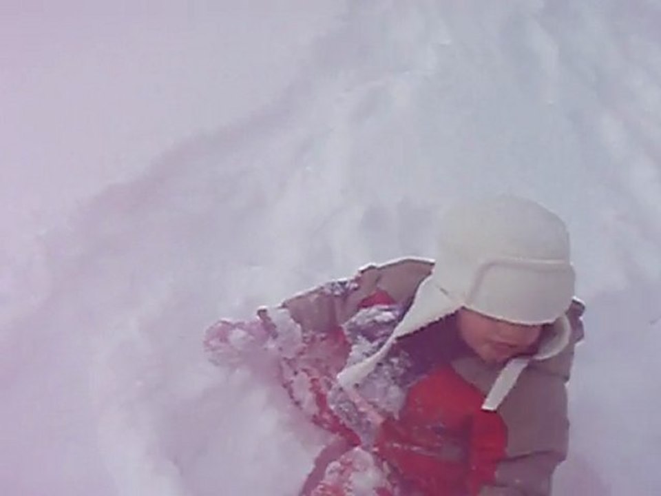 stella dans la neige 30.01.2010