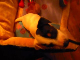 Eden découvre un appareil photo