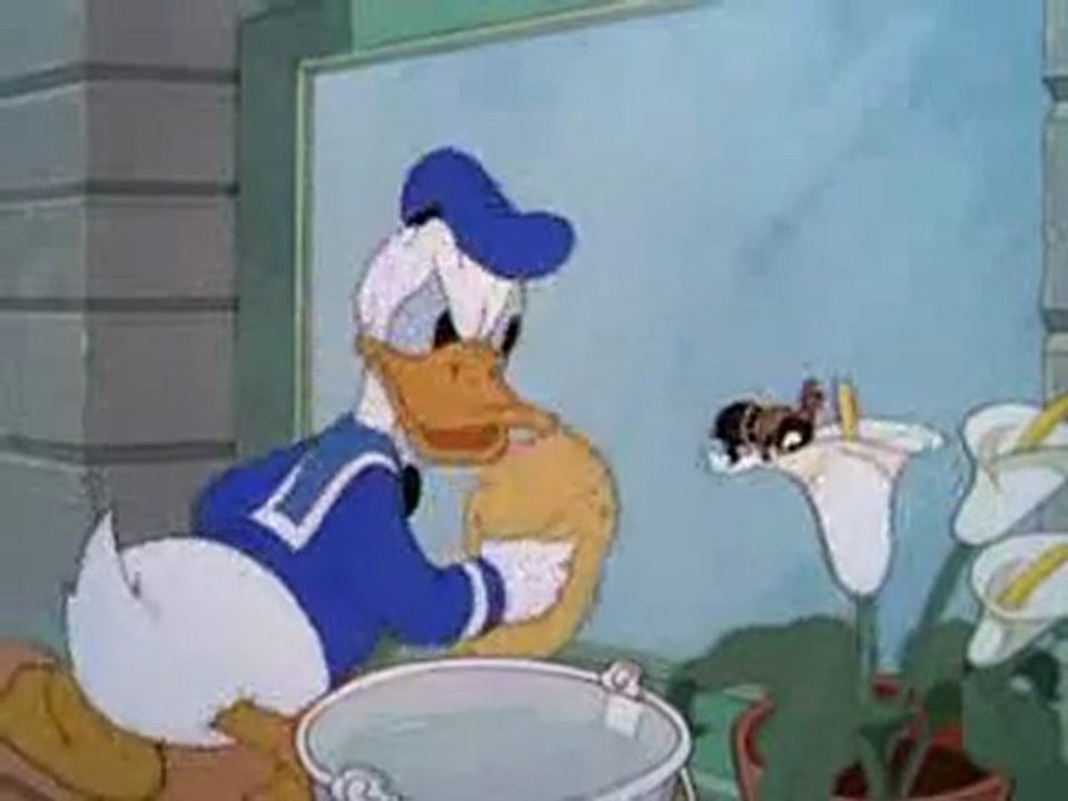 Cartoon Donald - Les nettoyeurs de carreaux