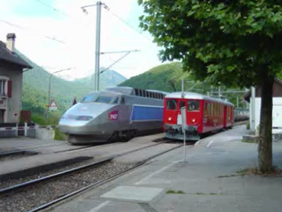 Tren Lechero (Los Desperados)