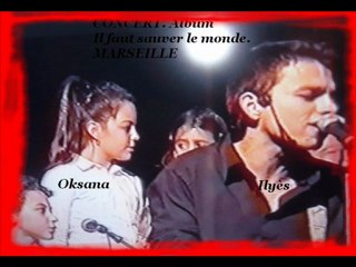 Trop de missiles ILYES