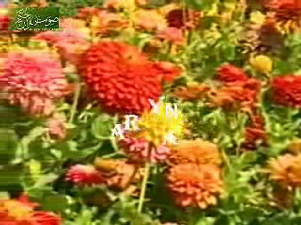 CORAN Sourat Tekwire  petit garçon - MACHA  ALLAH !!!avoir!!