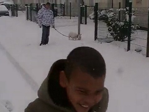 Les chiens sous la neige