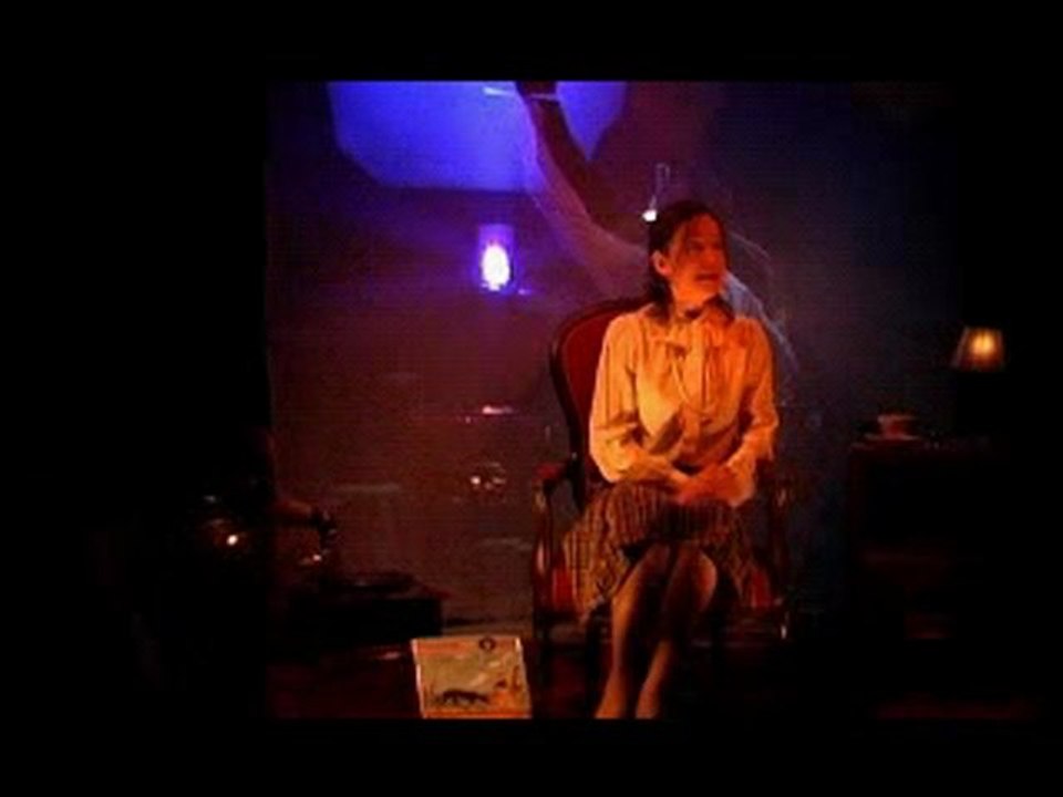 Pierre et le loup - Théâtre des Tarabates - Momix 2010