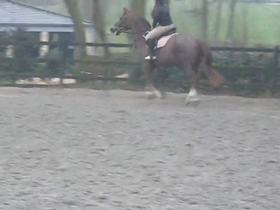 Charlotte &&' Matcho