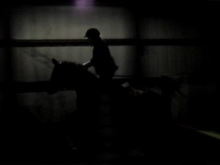 Jade & Doudoune : leçon d'obstacle 29 janvier 2010