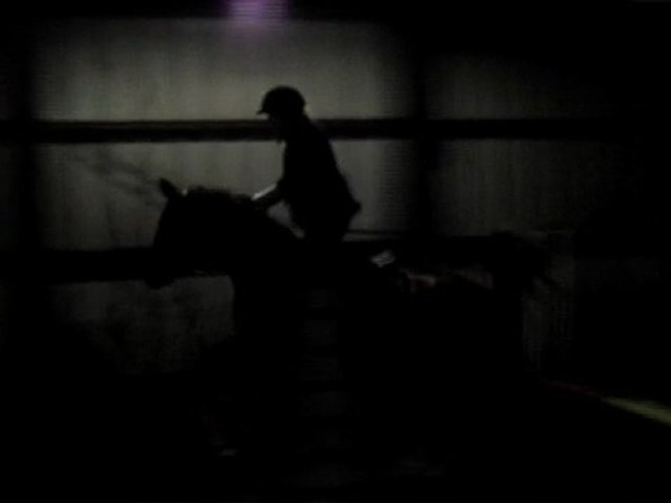 Jade & Doudoune : leçon d'obstacle 29 janvier 2010