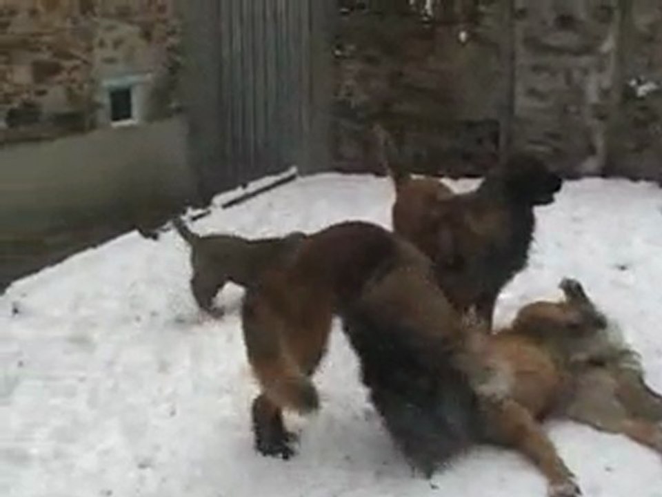 neige 2009_0001