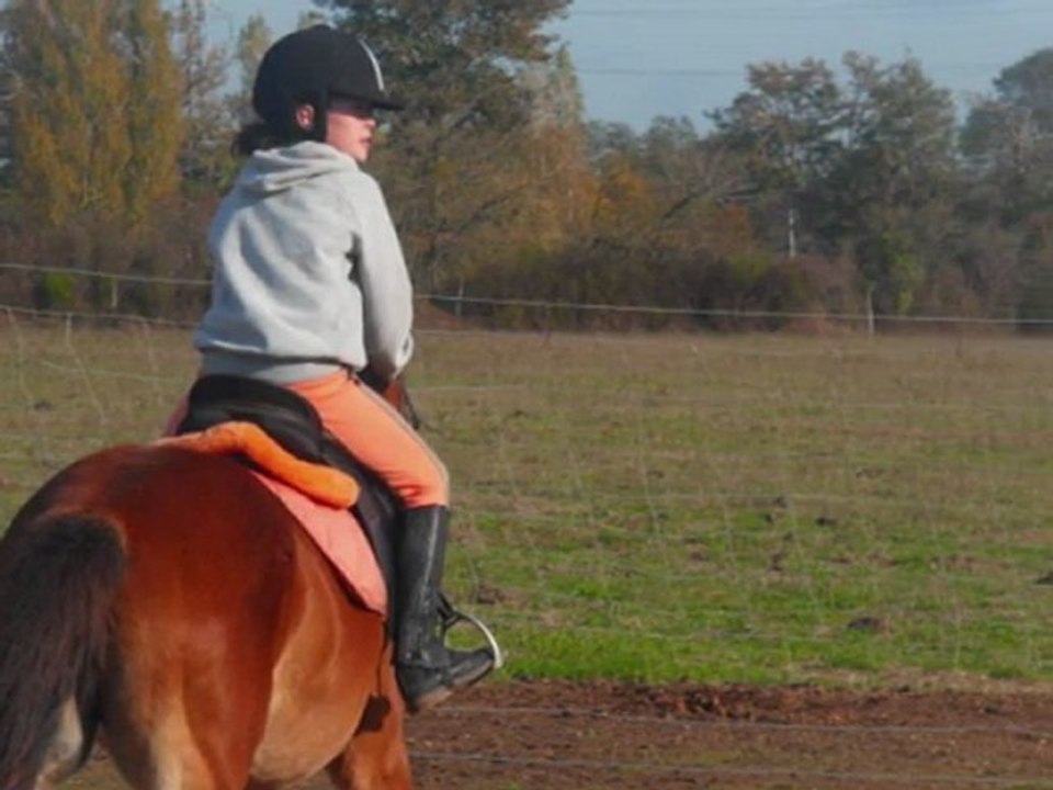 Je t'aime ponette ♥