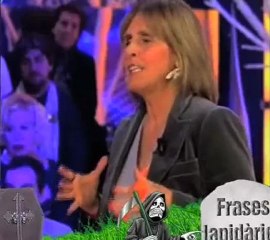 Frases lapidarias 29/01/10 (Teletulia Arucitys)