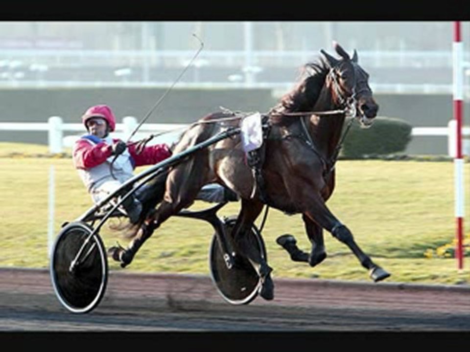 pronos prix d'amerique 2010