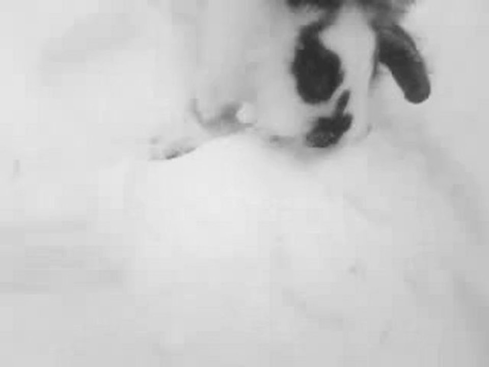 Quinita découvre la neige.