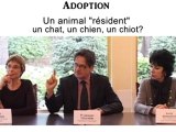 L'adoption: chat, chien ou chiot?