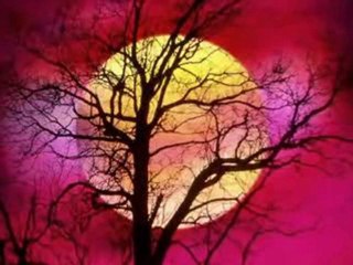 Metallica - Nothing Else Matters   VBOX7