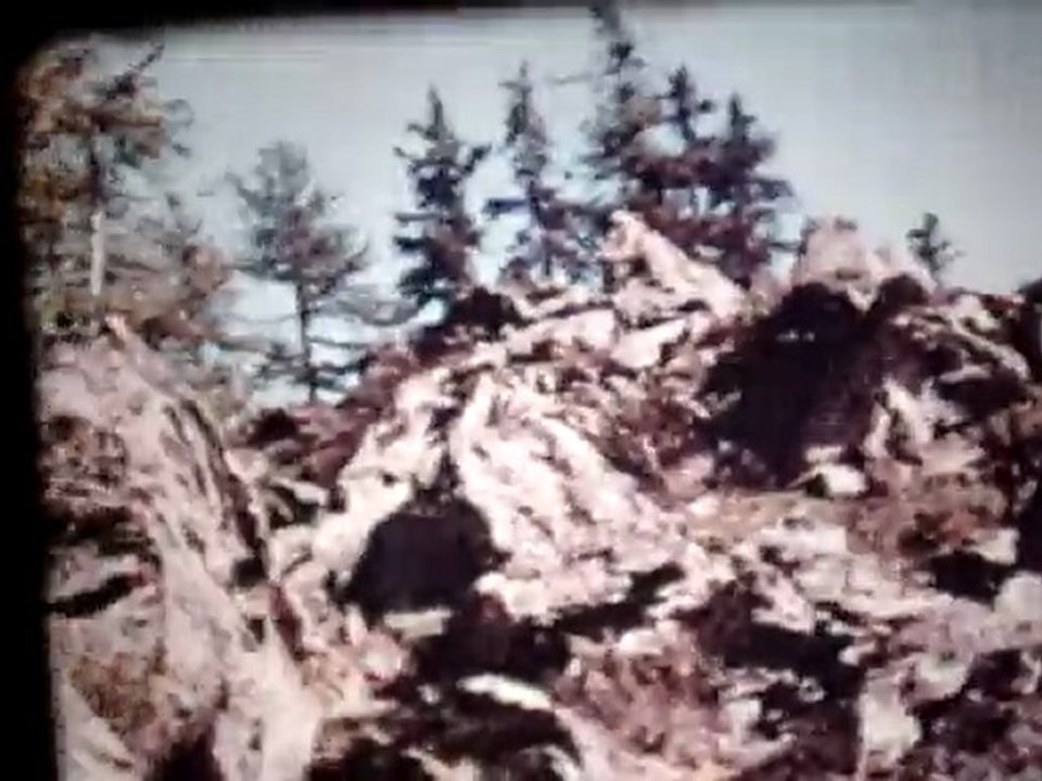 LES MARMOTTES