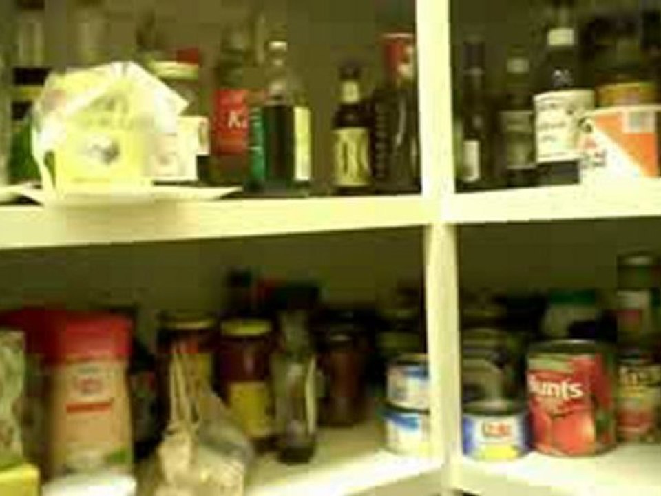 PUTTING BAKING SODA ON AN ULCER [1/29/10] - 282