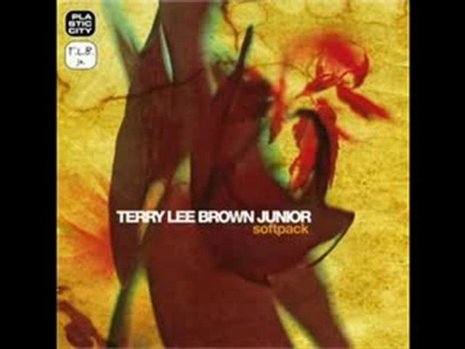 Terry Lee Brown Jr. - Night In Sutivan