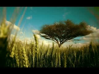 Terry Lee Brown Jr. - Our Rhythm (Matthias Tanzmann Mix)