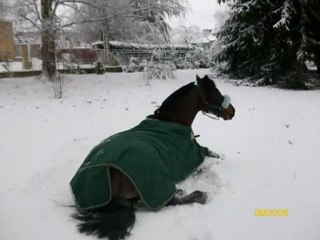 neige janvier 2009-2010 avec MESTER