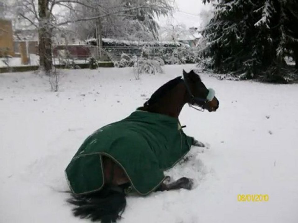 neige janvier 2009-2010 avec MESTER