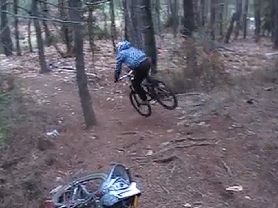 olive dh
