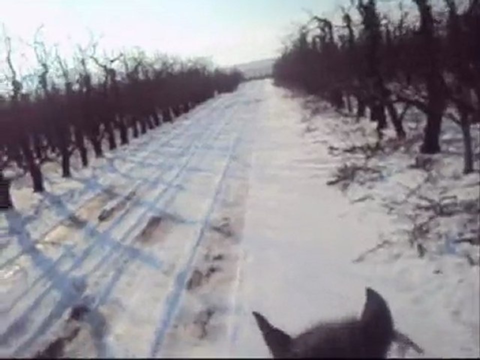 Travail dans la neige Samedi 30 Janvier 2010