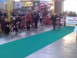 Enaya de la maison d'este