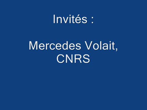 Cultures d'islam par Abdelwahab Meddeb