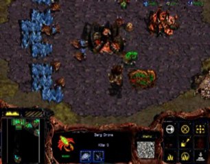 Starcraft Zerg macro training