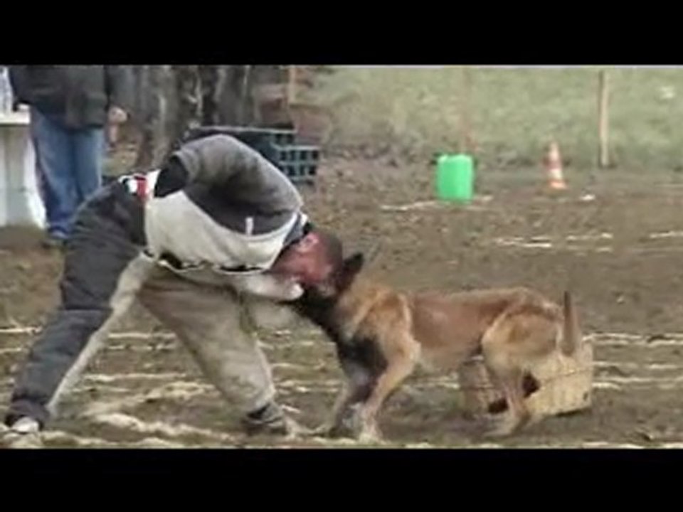 concours ring vesoul 2010