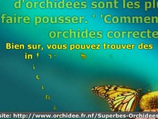 Entretien des Orchidees