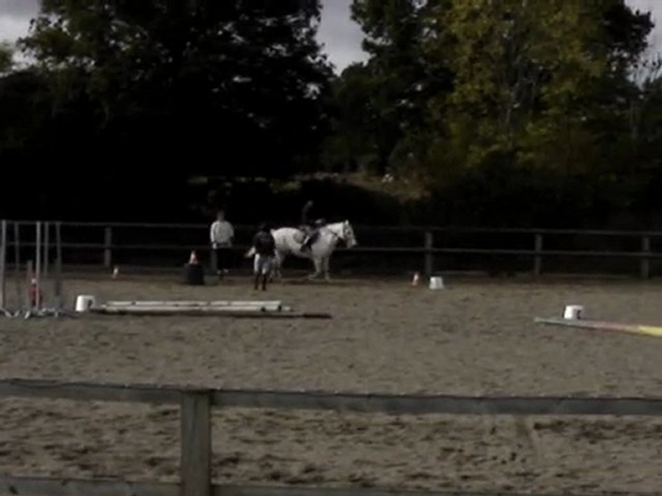 un parcours au haras de la motte